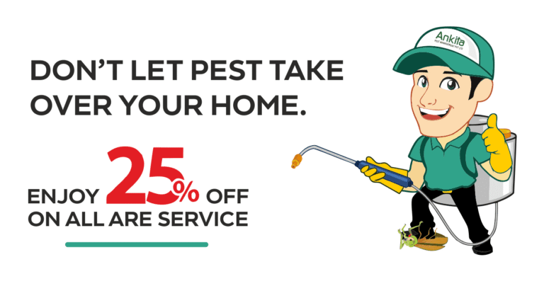 Pest Control Lahore